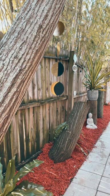 Peaceful Studio Clearwater Beach Екстер'єр фото